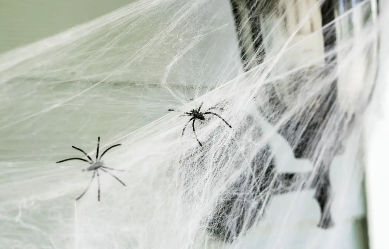 Allarme ragnatele bianche sulle piante? Ecco l’infestante invisibile che devi eliminare subito